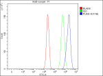 Flow Cytometry analysis of cells using anti-PUM3 antibody. Overlay histogram showing cells stained with (Blue line). To facilitate intracellular staining, cells were fixed with 4% paraformaldehyde and permeabilized with permeabilization buffer. The cells were blocked with 10% normal goat serum. And then incubated with rabbit anti-PUM3 antibody (1 ug/million cells) for 30 min at 20oC. DyLight 488 conjugated goat anti-rabbit IgG (5-10 ug/million cells) was used as secondary antibody for 30 minutes at 20oC. Isotype control antibody (Green line) was rabbit IgG (1 ug/million cells) used under the same conditions. Unlabelled sample without incubation with primary antibody and secondary antibody (Red line) was used as a blank control.