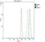 Flow Cytometry analysis of CACO-2 cells using anti- MAPK14 antibody. Overlay histogram showing CACO-2 cells stained with (Blue line). To facilitate intracellular staining, cells were fixed with 4% paraformaldehyde and permeabilized with permeabilization buffer. The cells were blocked with 10% normal goat serum. And then incubated with rabbit anti- MAPK14 antibody (1 ug/million cells) for 30 min at 20oC. DyLight 488 conjugated goat anti-rabbit IgG (5-10 ug/million cells) was used as secondary antibody for 30 minutes at 20oC. Isotype control antibody (Green line) was rabbit IgG (1 ug/million cells) used under the same conditions. Unlabelled sample without incubation with primary antibody and secondary antibody (Red line) was used as a blank control.