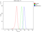 Flow Cytometry analysis of HepG2 cells using anti-SERPINA12 antibody. Overlay histogram showing HepG2 cells stained with (Blue line). The cells were fixed with 4% paraformaldehyde and blocked with 10% normal goat serum. And then incubated with rabbit anti-SERPINA12 antibody (1 ug/million cells) for 30 min at 20oC. DyLight 488 conjugated goat anti-rabbit IgG (5-10 ug/million cells) was used as secondary antibody for 30 minutes at 20oC. Isotype control antibody (Green line) was rabbit IgG (1 ug/million cells) used under the same conditions. Unlabelled sample (Red line) was also used as a control.