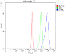 Flow cytometry analysis of fixed and permeabilized human Jurkat cells with MAML1 antibody at 1ug/million cells (blocked with goat sera); Red=cells alone, Green=isotype control, Blue= MAML1 antibody.