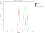 Flow Cytometry analysis of U251 cells using anti-PCGF6 antibody. Overlay histogram showing U251 cells stained with (Blue line). To facilitate intracellular staining, cells were fixed with 4% paraformaldehyde and permeabilized with permeabilization buffer. The cells were blocked with 10% normal goat serum. And then incubated with rabbit anti-PCGF6 antibody (1 ug/million cells) for 30 min at 20oC. DyLight 488 conjugated goat anti-rabbit IgG (5-10 ug/million cells) was used as secondary antibody for 30 minutes at 20oC. Isotype control antibody (Green line) was rabbit IgG (1 ug/million cells) used under the same conditions. Unlabelled sample without incubation with primary antibody and secondary antibody (Red line) was used as a blank control.