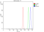 Flow Cytometry analysis of U251 cells using anti-MICAL3 antibody. Overlay histogram showing U251 cells stained with (Blue line). To facilitate intracellular staining, cells were fixed with 4% paraformaldehyde and permeabilized with permeabilization buffer. The cells were blocked with 10% normal goat serum. And then incubated with rabbit anti-MICAL3 antibody (1 ug/million cells) for 30 min at 20oC. DyLight 488 conjugated goat anti-rabbit IgG (5-10 ug/million cells) was used as secondary antibody for 30 minutes at 20oC. Isotype control antibody (Green line) was rabbit IgG (1 ug/million cells) used under the same conditions. Unlabelled sample (Red line) was also used as a control.