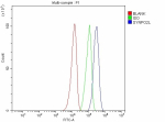 Flow Cytometry analysis of SH-SY5Y cells using anti-SYNPO2L antibody. Overlay histogram showing SH-SY5Y cells stained with (Blue line). To facilitate intracellular staining, cells were fixed with 4% paraformaldehyde and permeabilized with permeabilization buffer. The cells were blocked with 10% normal goat serum. And then incubated with rabbit anti-SYNPO2L antibody (1 ug/million cells) for 30 min at 20oC. DyLight 488 conjugated goat anti-rabbit IgG (5-10 ug/million cells) was used as secondary antibody for 30 minutes at 20oC. Isotype control antibody (Green line) was rabbit IgG (1 ug/million cells) used under the same conditions. Unlabelled sample without incubation with primary antibody and secondary antibody (Red line) was used as a blank control.
