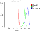 Flow Cytometry analysis of cells using anti-GALNT12 antibody. Overlay histogram showing cells stained with (Blue line). To facilitate intracellular staining, cells were fixed with 4% paraformaldehyde and permeabilized with permeabilization buffer. The cells were blocked with 10% normal goat serum. And then incubated with rabbit anti-GALNT12 antibody (1 ug/million cells) for 30 min at 20oC. DyLight 488 conjugated goat anti-rabbit IgG (5-10 ug/million cells) was used as secondary antibody for 30 minutes at 20oC. Isotype control antibody (Green line) was rabbit IgG (1 ug/million cells) used under the same conditions. Unlabelled sample (Red line) was also used as a control.