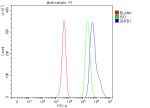 Flow Cytometry analysis of human JK cells using anti-SNTB1 antibody. Overlay histogram showing JK cells stained with (Blue line). To facilitate intracellular staining, cells were fixed with 4% paraformaldehyde and permeabilized with permeabilization buffer. The cells were blocked with 10% normal goat serum. And then incubated with rabbit anti-SNTB1 antibody (1 ug/million cells) for 30 min at 20oC. DyLight 488 conjugated goat anti-rabbit IgG (5-10 ug/million cells) was used as secondary antibody for 30 minutes at 20oC. Isotype control antibody (Green line) was rabbit IgG (1 ug/million cells) used under the same conditions. Unlabelled sample (Red line) was also used as a control.