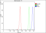 Flow Cytometry analysis of U251 cells using anti-TNS3 antibody. Overlay histogram showing U251 cells stained with (Blue line). To facilitate intracellular staining, cells were fixed with 4% paraformaldehyde and permeabilized with permeabilization buffer. The cells were blocked with 10% normal goat serum. And then incubated with rabbit anti-TNS3 antibody (1 ug/million cells) for 30 min at 20oC. DyLight 488 conjugated goat anti-rabbit IgG (5-10 ug/million cells) was used as secondary antibody for 30 minutes at 20oC. Isotype control antibody (Green line) was rabbit IgG (1 ug/million cells) used under the same conditions. Unlabelled sample (Red line) was also used as a control.