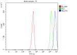 Flow Cytometry analysis of human JK cells using anti-NELFA antibody. Overlay histogram showing JK cells stained with (Blue line). To facilitate intracellular staining, cells were fixed with 4% paraformaldehyde and permeabilized with permeabilization buffer. The cells were blocked with 10% normal goat serum. And then incubated with rabbit anti-NELFA antibody (1 ug/million cells) for 30 min at 20oC. DyLight 488 conjugated goat anti-rabbit IgG (5-10 ug/million cells) was used as secondary antibody for 30 minutes at 20oC. Isotype control antibody (Green line) was rabbit IgG (1 ug/million cells) used under the same conditions. Unlabelled sample (Red line) was also used as a control.