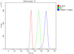 Flow Cytometry analysis of Jurkat cells using anti-DTNBP1 antibody. Overlay histogram showing Jurkat cells stained with (Blue line). To facilitate intracellular staining, cells were fixed with 4% paraformaldehyde and permeabilized with permeabilization buffer. The cells were blocked with 10% normal goat serum. And then incubated with rabbit anti-DTNBP1 antibody (1 ug/million cells) for 30 min at 20oC. DyLight 488 conjugated goat anti-rabbit IgG (5-10 ug/million cells) was used as secondary antibody for 30 minutes at 20oC. Isotype control antibody (Green line) was rabbit IgG (1 ug/million cells) used under the same conditions. Unlabelled sample without incubation with primary antibody and secondary antibody (Red line) was used as a blank control.