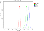 Flow Cytometry analysis of K562 cells using anti-STAT2 antibody. Overlay histogram showing K562 cells stained with (Blue line). To facilitate intracellular staining, cells were fixed with 4% paraformaldehyde and permeabilized with permeabilization buffer. The cells were blocked with 10% normal goat serum. And then incubated with rabbit anti-STAT2 antibody (1 ug/million cells) for 30 min at 20oC. DyLight 488 conjugated goat anti-rabbit IgG (5-10 ug/million cells) was used as secondary antibody for 30 minutes at 20oC. Isotype control antibody (Green line) was rabbit IgG (1 ug/million cells) used under the same conditions. Unlabelled sample (Red line) was also used as a control.