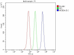 Flow Cytometry analysis of Raji cells using anti-MOB3A/B/C antibody. Overlay histogram showing Raji cells stained with (Blue line). To facilitate intracellular staining, cells were fixed with 4% paraformaldehyde and permeabilized with permeabilization buffer. The cells were blocked with 10% normal goat serum. And then incubated with rabbit anti-MOB3A/B/C antibody (1 ug/million cells) for 30 min at 20oC. DyLight 488 conjugated goat anti-rabbit IgG (5-10 ug/million cells) was used as secondary antibody for 30 minutes at 20oC. Isotype control antibody (Green line) was rabbit IgG (1 ug/million cells) used under the same conditions. Unlabelled sample without incubation with primary antibody and secondary antibody (Red line) was used as a blank control.