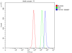 Flow Cytometry analysis of HepG2 cells using anti-THYN1 antibody. Overlay histogram showing HepG2 cells stained with (Blue line). To facilitate intracellular staining, cells were fixed with 4% paraformaldehyde and permeabilized with permeabilization buffer. The cells were blocked with 10% normal goat serum. And then incubated with rabbit anti-THYN1 antibody (1 ug/million cells) for 30 min at 20oC. DyLight 488 conjugated goat anti-rabbit IgG (5-10 ug/million cells) was used as secondary antibody for 30 minutes at 20oC. Isotype control antibody (Green line) was rabbit IgG (1 ug/million cells) used under the same conditions. Unlabelled sample without incubation with primary antibody and secondary antibody (Red line) was used as a blank control.