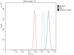 Flow Cytometry analysis of HepG2 cells using anti-GFRA2 antibody. Overlay histogram showing HepG2 cells stained with (Blue line). The cells were fixed with 4% paraformaldehyde and blocked with 10% normal goat serum. And then incubated with rabbit anti-GFRA2 antibody (1 ug/million cells) for 30 min at 20oC. DyLight 488 conjugated goat anti-rabbit IgG (5-10 ug/million cells) was used as secondary antibody for 30 minutes at 20oC. Isotype control antibody (Green line) was rabbit IgG (1 ug/million cells) used under the same conditions. Unlabelled sample without incubation with primary antibody and secondary antibody (Red line) was used as a blank control.