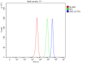 Flow cytometry analysis of fixed and permeabilized human SH-SY5Y cells with SHC antibody at 1ug/million cells (blocked with goat sera); Red=cells alone, Green=isotype control, Blue= SHD antibody.