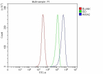 Flow Cytometry analysis of Hela cells using anti-ANXA2 antibody. Overlay histogram showing Hela cells stained with (Blue line). The cells were fixed with 4% paraformaldehyde and blocked with 10% normal goat serum. And then incubated with rabbit anti-ANXA2 antibody (1 ug/million cells) for 30 min at 20oC. DyLight 488 conjugated goat anti-rabbit IgG (5-10 ug/million cells) was used as secondary antibody for 30 minutes at 20oC. Isotype control antibody (Green line) was rabbit IgG (1 ug/million cells) used under the same conditions. Unlabelled sample without incubation with primary antibody and secondary antibody (Red line) was used as a blank control.