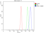 Flow Cytometry analysis of HepG2 cells using anti-SNTA1 antibody. Overlay histogram showing HepG2 cells stained with (Blue line). To facilitate intracellular staining, cells were fixed with 4% paraformaldehyde and permeabilized with permeabilization buffer. The cells were blocked with 10% normal goat serum. And then incubated with rabbit anti-SNTA1 antibody (1 ug/million cells) for 30 min at 20oC. DyLight 488 conjugated goat anti-rabbit IgG (5-10 ug/million cells) was used as secondary antibody for 30 minutes at 20oC. Isotype control antibody (Green line) was rabbit IgG (1 ug/million cells) used under the same conditions. Unlabelled sample without incubation with primary antibody and secondary antibody (Red line) was used as a blank control.