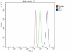 Flow Cytometry analysis of RT4 cells using anti-PLS1 antibody. Overlay histogram showing RT4 cells stained with (Blue line). To facilitate intracellular staining, cells were fixed with 4% paraformaldehyde and permeabilized with permeabilization buffer. The cells were blocked with 10% normal goat serum. And then incubated with rabbit anti-PLS1 antibody (1 ug/million cells) for 30 min at 20oC. DyLight 488 conjugated goat anti-rabbit IgG (5-10 ug/million cells) was used as secondary antibody for 30 minutes at 20oC. Isotype control antibody (Green line) was rabbit IgG (1 ug/million cells) used under the same conditions. Unlabelled sample without incubation with primary antibody and secondary antibody (Red line) was used as a blank control.