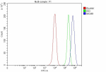 Flow Cytometry analysis of MCF-7 cells using anti-MCM9 antibody. Overlay histogram showing MCF-7 cells stained with (Blue line). To facilitate intracellular staining, cells were fixed with 4% paraformaldehyde and permeabilized with permeabilization buffer. The cells were blocked with 10% normal goat serum. And then incubated with rabbit anti-MCM9 antibody (1 ug/million cells) for 30 min at 20oC. DyLight 488 conjugated goat anti-rabbit IgG (5-10 ug/million cells) was used as secondary antibody for 30 minutes at 20oC. Isotype control antibody (Green line) was rabbit IgG (1 ug/million cells) used under the same conditions. Unlabelled sample without incubation with primary antibody and secondary antibody (Red line) was used as a blank control.
