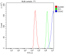 Flow Cytometry analysis of HepG2 cells using anti-GGA2 antibody. Overlay histogram showing HepG2 cells stained with (Blue line). To facilitate intracellular staining, cells were fixed with 4% paraformaldehyde and permeabilized with permeabilization buffer. The cells were blocked with 10% normal goat serum. And then incubated with rabbit anti-GGA2 antibody (1 ug/million cells) for 30 min at 20oC. DyLight 488 conjugated goat anti-rabbit IgG (5-10 ug/million cells) was used as secondary antibody for 30 minutes at 20oC. Isotype control antibody (Green line) was rabbit IgG (1 ug/million cells) used under the same conditions. Unlabelled sample (Red line) was also used as a control.