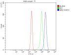 Flow Cytometry analysis of Jurkat cells using anti-IER3 antibody. Overlay histogram showing Jurkat cells stained with (Blue line). The cells were fixed with 4% paraformaldehyde and blocked with 10% normal goat serum. And then incubated with rabbit anti-IER3 antibody (1 ug/million cells) for 30 min at 20oC. DyLight 488 conjugated goat anti-rabbit IgG (5-10 ug/million cells) was used as secondary antibody for 30 minutes at 20oC. Isotype control antibody (Green line) was rabbit IgG (1 ug/million cells) used under the same conditions. Unlabelled sample without incubation with primary antibody and secondary antibody (Red line) was used as a blank control.
