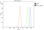 Flow Cytometry analysis of MCF-7 cells using anti-TMOD1 antibody. Overlay histogram showing MCF-7 cells stained with (Blue line). To facilitate intracellular staining, cells were fixed with 4% paraformaldehyde and permeabilized with permeabilization buffer. The cells were blocked with 10% normal goat serum. And then incubated with rabbit anti-TMOD1 antibody (1 ug/million cells) for 30 min at 20oC. DyLight 488 conjugated goat anti-rabbit IgG (5-10 ug/million cells) was used as secondary antibody for 30 minutes at 20oC. Isotype control antibody (Green line) was rabbit IgG (1 ug/million cells) used under the same conditions. Unlabelled sample without incubation with primary antibody and secondary antibody (Red line) was used as a blank control.