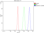 Flow Cytometry analysis of 293T cells using anti-ADAMTS1 antibody. Overlay histogram showing 293T cells stained with (Blue line). The cells were fixed with 4% paraformaldehyde and blocked with 10% normal goat serum. And then incubated with rabbit anti-ADAMTS1 antibody (1 ug/million cells) for 30 min at 20oC. DyLight 488 conjugated goat anti-rabbit IgG (5-10 ug/million cells) was used as secondary antibody for 30 minutes at 20oC. Isotype control antibody (Green line) was rabbit IgG (1 ug/million cells) used under the same conditions. Unlabelled sample without incubation with primary antibody and secondary antibody (Red line) was used as a blank control.