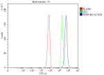 Flow Cytometry analysis of K562 cells using anti-PRP4K antibody. Overlay histogram showing K562 cells stained with (Blue line). To facilitate intracellular staining, cells were fixed with 4% paraformaldehyde and permeabilized with permeabilization buffer. The cells were blocked with 10% normal goat serum. And then incubated with rabbit anti-PRP4K antibody (1 ug/million cells) for 30 min at 20oC. DyLight 488 conjugated goat anti-rabbit IgG (5-10 ug/million cells) was used as secondary antibody for 30 minutes at 20oC. Isotype control antibody (Green line) was rabbit IgG (1 ug/million cells) used under the same conditions. Unlabelled sample without incubation with primary antibody and secondary antibody (Red line) was used as a blank control.
