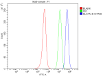 Flow Cytometry analysis of SH-SY5Y cells using anti-SLC7A14 antibody. Overlay histogram showing SH-SY5Y cells stained with (Blue line). To facilitate intracellular staining, cells were fixed with 4% paraformaldehyde and permeabilized with permeabilization buffer. The cells were blocked with 10% normal goat serum. And then incubated with rabbit anti-SLC7A14 antibody (1 ug/million cells) for 30 min at 20oC. DyLight 488 conjugated goat anti-rabbit IgG (5-10 ug/million cells) was used as secondary antibody for 30 minutes at 20oC. Isotype control antibody (Green line) was rabbit IgG (1 ug/million cells) used under the same conditions. Unlabelled sample without incubation with primary antibody and secondary antibody (Red line) was used as a blank control.