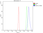 Flow Cytometry analysis of 293T cells using anti-NCAPG antibody. Overlay histogram showing 293T cells stained with (Blue line). To facilitate intracellular staining, cells were fixed with 4% paraformaldehyde and permeabilized with permeabilization buffer. The cells were blocked with 10% normal goat serum. And then incubated with rabbit anti-NCAPG antibody (1 ug/million cells) for 30 min at 20oC. DyLight 488 conjugated goat anti-rabbit IgG (5-10 ug/million cells) was used as secondary antibody for 30 minutes at 20oC. Isotype control antibody (Green line) was rabbit IgG (1 ug/million cells) used under the same conditions. Unlabelled sample without incubation with primary antibody and secondary antibody (Red line) was used as a blank control.