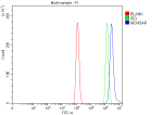Flow Cytometry analysis of HEL cells using anti-MCM3AP antibody. Overlay histogram showing HEL cells stained with (Blue line). To facilitate intracellular staining, cells were fixed with 4% paraformaldehyde and permeabilized with permeabilization buffer. The cells were blocked with 10% normal goat serum. And then incubated with rabbit anti-MCM3AP antibody (1 ug/million cells) for 30 min at 20oC. DyLight 488 conjugated goat anti-rabbit IgG (5-10 ug/million cells) was used as secondary antibody for 30 minutes at 20oC. Isotype control antibody (Green line) was rabbit IgG (1 ug/million cells) used under the same conditions. Unlabelled sample (Red line) was also used as a control.