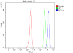 Flow Cytometry analysis of JK cells using anti-PEX19 antibody. Overlay histogram showing JK cells stained with (Blue line). To facilitate intracellular staining, cells were fixed with 4% paraformaldehyde and permeabilized with permeabilization buffer. The cells were blocked with 10% normal goat serum. And then incubated with rabbit anti-PEX19 antibody (1 ug/million cells) for 30 min at 20oC. DyLight 488 conjugated goat anti-rabbit IgG (5-10 ug/million cells) was used as secondary antibody for 30 minutes at 20oC. Isotype control antibody (Green line) was rabbit IgG (1 ug/million cells) used under the same conditions. Unlabelled sample (Red line) was also used as a control.