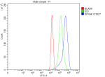 Flow Cytometry analysis of cells using anti-SFXN4 antibody. Overlay histogram showing cells stained with (Blue line). To facilitate intracellular staining, cells were fixed with 4% paraformaldehyde and permeabilized with permeabilization buffer. The cells were blocked with 10% normal goat serum. And then incubated with rabbit anti-SFXN4 antibody (1 ug/million cells) for 30 min at 20oC. DyLight 488 conjugated goat anti-rabbit IgG (5-10 ug/million cells) was used as secondary antibody for 30 minutes at 20oC. Isotype control antibody (Green line) was rabbit IgG (1 ug/million cells) used under the same conditions. Unlabelled sample without incubation with primary antibody and secondary antibody (Red line) was used as a blank control.