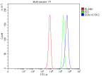Flow Cytometry analysis of K562 cells using anti-SON antibody. Overlay histogram showing K562 cells stained with (Blue line). To facilitate intracellular staining, cells were fixed with 4% paraformaldehyde and permeabilized with permeabilization buffer. The cells were blocked with 10% normal goat serum. And then incubated with rabbit anti-SON antibody (1 ug/million cells) for 30 min at 20oC. DyLight 488 conjugated goat anti-rabbit IgG (5-10 ug/million cells) was used as secondary antibody for 30 minutes at 20oC. Isotype control antibody (Green line) was rabbit IgG (1 ug/million cells) used under the same conditions. Unlabelled sample without incubation with primary antibody and secondary antibody (Red line) was used as a blank control.