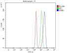 Flow Cytometry analysis of RT4 cells using anti-RHBG antibody. Overlay histogram showing RT4 cells stained with (Blue line). The cells were fixed with 4% paraformaldehyde and blocked with 10% normal goat serum. And then incubated with rabbit anti-RHBG antibody (1 ug/million cells) for 30 min at 20oC. DyLight 488 conjugated goat anti-rabbit IgG (5-10 ug/million cells) was used as secondary antibody for 30 minutes at 20oC. Isotype control antibody (Green line) was rabbit IgG (1 ug/million cells) used under the same conditions. Unlabelled sample without incubation with primary antibody and secondary antibody (Red line) was used as a blank control.