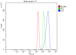 Flow Cytometry analysis of Raw264.7 cells using anti-Lat antibody. Overlay histogram showing Raw264.7 cells stained with (Blue line). The cells were fixed with 4% paraformaldehyde and blocked with 10% normal goat serum. And then incubated with rabbit anti-Lat antibody (1 ug/million cells) for 30 min at 20oC. DyLight 488 conjugated goat anti-rabbit IgG (5-10 ug/million cells) was used as secondary antibody for 30 minutes at 20oC. Isotype control antibody (Green line) was rabbit IgG (1 ug/million cells) used under the same conditions. Unlabelled sample (Red line) was also used as a control.