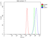 Flow cytometry analysis of fixed and permeabilized human Caco-2 cells with SOAT1 antibody at 1ug/million cells (blocked with goat sera); Red=cells alone, Green=isotype control, Blue= SOAT1 antibody.