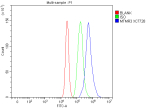 Flow Cytometry analysis of RT4 cells using anti-MTMR3 antibody. Overlay histogram showing RT4 cells stained with (Blue line). The cells were fixed with 4% paraformaldehyde and blocked with 10% normal goat serum. And then incubated with rabbit anti-MTMR3 antibody (1 ug/million cells) for 30 min at 20oC. DyLight 488 conjugated goat anti-rabbit IgG (5-10 ug/million cells) was used as secondary antibody for 30 minutes at 20oC. Isotype control antibody (Green line) was rabbit IgG (1 ug/million cells) used under the same conditions. Unlabelled sample without incubation with primary antibody and secondary antibody (Red line) was used as a blank control.