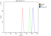 Flow cytometry analysis of fixed and permeabilized mouse RAW264.7 cells with Histone H3 antibody at 1ug/million cells (blocked with goat sera); Red=cells alone, Green=isotype control, Blue= Histone H3 antibody.