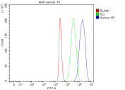 Flow cytometry analysis of fixed and permeabilized rat C6 cells with Histone H3 antibody at 1ug/million cells (blocked with goat sera); Red=cells alone, Green=isotype control, Blue= Histone H3 antibody.