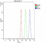 Flow Cytometry analysis of K562 cells using anti-MEIOB antibody. Overlay histogram showing K562 cells stained with (Blue line). To facilitate intracellular staining, cells were fixed with 4% paraformaldehyde and permeabilized with permeabilization buffer. The cells were blocked with 10% normal goat serum. And then incubated with rabbit anti-MEIOB antibody (1 ug/million cells) for 30 min at 20oC. DyLight 488 conjugated goat anti-rabbit IgG (5-10 ug/million cells) was used as secondary antibody for 30 minutes at 20oC. Isotype control antibody (Green line) was rabbit IgG (1 ug/million cells) used under the same conditions. Unlabelled sample without incubation with primary antibody and secondary antibody (Red line) was used as a blank control.