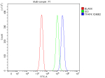 Flow Cytometry analysis of Jurkat cells using anti-TFAP4 antibody. Overlay histogram showing Jurkat cells stained with (Blue line). To facilitate intracellular staining, cells were fixed with 4% paraformaldehyde and permeabilized with permeabilization buffer. The cells were blocked with 10% normal goat serum. And then incubated with rabbit anti-TFAP4 antibody (1 ug/million cells) for 30 min at 20oC. DyLight 488 conjugated goat anti-rabbit IgG (5-10 ug/million cells) was used as secondary antibody for 30 minutes at 20oC. Isotype control antibody (Green line) was rabbit IgG (1 ug/million cells) used under the same conditions. Unlabelled sample without incubation with primary antibody and secondary antibody (Red line) was used as a blank control.