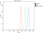 Flow Cytometry analysis of HepG2 cells using anti-NPW antibody. Overlay histogram showing HepG2 cells stained with (Blue line). The cells were fixed with 4% paraformaldehyde and blocked with 10% normal goat serum. And then incubated with rabbit anti-NPW antibody (1 ug/million cells) for 30 min at 20oC. DyLight 488 conjugated goat anti-rabbit IgG (5-10 ug/million cells) was used as secondary antibody for 30 minutes at 20oC. Isotype control antibody (Green line) was rabbit IgG (1 ug/million cells) used under the same conditions. Unlabelled sample without incubation with primary antibody and secondary antibody (Red line) was used as a blank control.