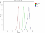 Flow Cytometry analysis of MOLT-4 cells using anti-ACE antibody. Overlay histogram showing MOLT-4 cells stained with (Blue line). The cells were fixed with 4% paraformaldehyde and blocked with 10% normal goat serum. And then incubated with rabbit anti-ACE antibody (1 ug/million cells) for 30 min at 20oC. DyLight 488 conjugated goat anti-rabbit IgG (5-10 ug/million cells) was used as secondary antibody for 30 minutes at 20oC. Isotype control antibody (Green line) was rabbit IgG (1 ug/million cells) used under the same conditions. Unlabelled sample without incubation with primary antibody and secondary antibody (Red line) was used as a blank control.