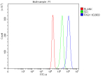 Flow Cytometry analysis of RT4 cells using anti-PAG1 antibody. Overlay histogram showing RT4 cells stained with (Blue line). The cells were fixed with 4% paraformaldehyde and blocked with 10% normal goat serum. And then incubated with rabbit anti-PAG1 antibody (1 ug/million cells) for 30 min at 20oC. DyLight 488 conjugated goat anti-rabbit IgG (5-10 ug/million cells) was used as secondary antibody for 30 minutes at 20oC. Isotype control antibody (Green line) was rabbit IgG (1 ug/million cells) used under the same conditions. Unlabelled sample without incubation with primary antibody and secondary antibody (Red line) was used as a blank control.