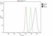 Flow Cytometry analysis of MCF-7 cells using anti-PANX3 antibody. Overlay histogram showing MCF-7 cells stained with (Blue line). The cells were fixed with 4% paraformaldehyde and blocked with 10% normal goat serum. And then incubated with rabbit anti-PANX3 antibody (1 ug/million cells) for 30 min at 20oC. DyLight 488 conjugated goat anti-rabbit IgG (5-10 ug/million cells) was used as secondary antibody for 30 minutes at 20oC. Isotype control antibody (Green line) was rabbit IgG (1 ug/million cells) used under the same conditions. Unlabelled sample without incubation with primary antibody and secondary antibody (Red line) was used as a blank control.