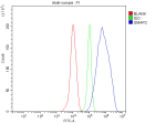 Flow Cytometry analysis of THP-1 cells using anti-SMAP2 antibody. Overlay histogram showing THP-1 cells stained with (Blue line). To facilitate intracellular staining, cells were fixed with 4% paraformaldehyde and permeabilized with permeabilization buffer. The cells were blocked with 10% normal goat serum. And then incubated with rabbit anti-SMAP2 antibody (1 ug/million cells) for 30 min at 20oC. DyLight 488 conjugated goat anti-rabbit IgG (5-10 ug/million cells) was used as secondary antibody for 30 minutes at 20oC. Isotype control antibody (Green line) was rabbit IgG (1 ug/million cells) used under the same conditions. Unlabelled sample without incubation with primary antibody and secondary antibody (Red line) was used as a blank control.