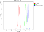Flow Cytometry analysis of SH-SY5Y cells using anti-PIK3C3 antibody. Overlay histogram showing SH-SY5Y cells stained with (Blue line). To facilitate intracellular staining, cells were fixed with 4% paraformaldehyde and permeabilized with permeabilization buffer. The cells were blocked with 10% normal goat serum. And then incubated with rabbit anti-PIK3C3 antibody (1 ug/million cells) for 30 min at 20oC. DyLight 488 conjugated goat anti-rabbit IgG (5-10 ug/million cells) was used as secondary antibody for 30 minutes at 20oC. Isotype control antibody (Green line) was rabbit IgG (1 ug/million cells) used under the same conditions. Unlabelled sample without incubation with primary antibody and secondary antibody (Red line) was used as a blank control.