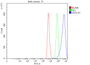 Flow cytometry analysis of fixed and permeabilized human HeLa cells with ZNRD2 antibody at 1ug/million cells (blocked with goat sera); Red=cells alone, Green=isotype control, Blue= ZNRD2 antibody.