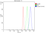 Flow Cytometry analysis of RT4 cells using anti-GLOD5 antibody. Overlay histogram showing RT4 cells stained with (Blue line). To facilitate intracellular staining, cells were fixed with 4% paraformaldehyde and permeabilized with permeabilization buffer. The cells were blocked with 10% normal goat serum. And then incubated with rabbit anti-GLOD5 antibody (1 ug/million cells) for 30 min at 20oC. DyLight 488 conjugated goat anti-rabbit IgG (5-10 ug/million cells) was used as secondary antibody for 30 minutes at 20oC. Isotype control antibody (Green line) was rabbit IgG (1 ug/million cells) used under the same conditions. Unlabelled sample without incubation with primary antibody and secondary antibody (Red line) was used as a blank control.