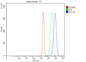 Flow Cytometry analysis of RT4 cells using anti-STK16 antibody. Overlay histogram showing RT4 cells stained with (Blue line). To facilitate intracellular staining, cells were fixed with 4% paraformaldehyde and permeabilized with permeabilization buffer. The cells were blocked with 10% normal goat serum. And then incubated with rabbit anti-STK16 antibody (1 ug/million cells) for 30 min at 20oC. DyLight 488 conjugated goat anti-rabbit IgG (5-10 ug/million cells) was used as secondary antibody for 30 minutes at 20oC. Isotype control antibody (Green line) was rabbit IgG (1 ug/million cells) used under the same conditions. Unlabelled sample without incubation with primary antibody and secondary antibody (Red line) was used as a blank control.