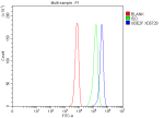 Flow Cytometry analysis of K562 cells using anti-UBE2F antibody. Overlay histogram showing K562 cells stained with (Blue line). To facilitate intracellular staining, cells were fixed with 4% paraformaldehyde and permeabilized with permeabilization buffer. The cells were blocked with 10% normal goat serum. And then incubated with rabbit anti-UBE2F antibody (1 ug/million cells) for 30 min at 20oC. DyLight 488 conjugated goat anti-rabbit IgG (5-10 ug/million cells) was used as secondary antibody for 30 minutes at 20oC. Isotype control antibody (Green line) was rabbit IgG (1 ug/million cells) used under the same conditions. Unlabelled sample without incubation with primary antibody and secondary antibody (Red line) was used as a blank control.